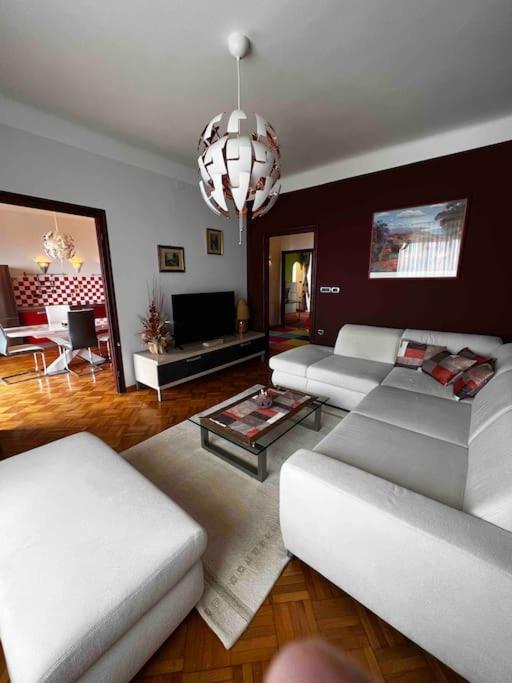 רייקה Apartment Alessio - Sea View מראה חיצוני תמונה