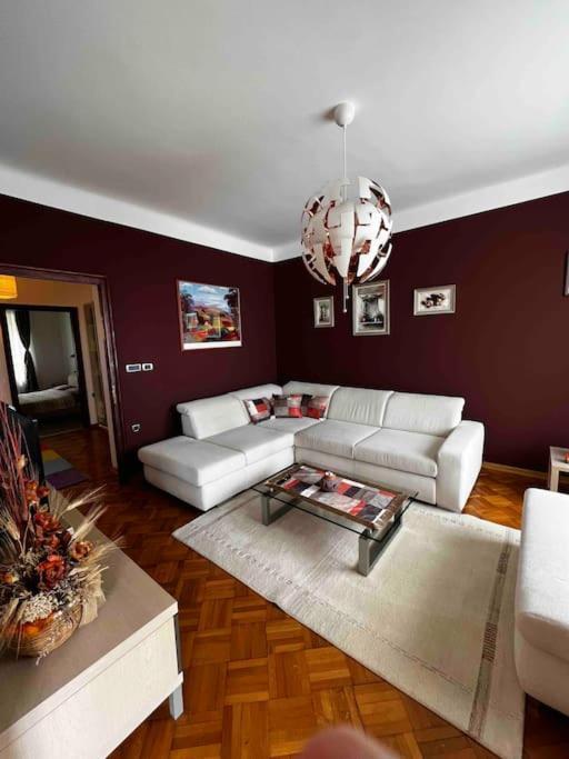 רייקה Apartment Alessio - Sea View מראה חיצוני תמונה